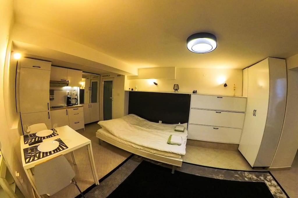 Studio With Courtyard Just Steps Away Vitosha Str Sofia Extérieur photo